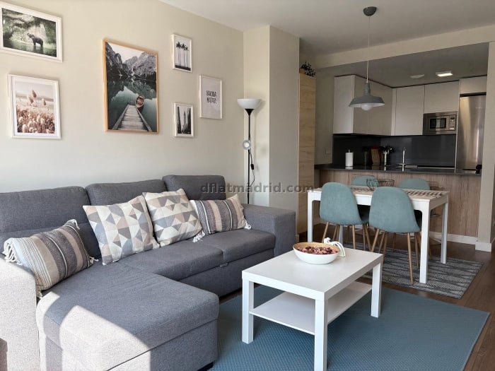 Apartment in Chamartin of 0 Bedroom #2075 in Madrid
