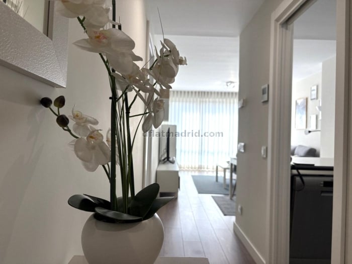 Apartment in Chamartin of 0 Bedroom #2075 in Madrid