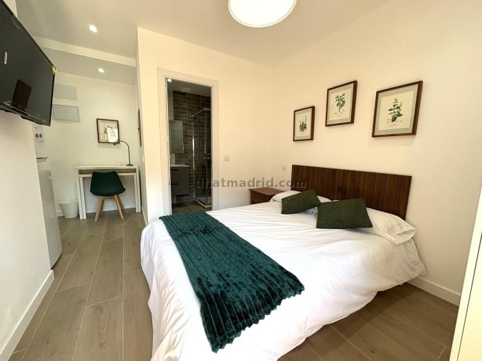 Habitación en Segovia de 1 Dormitorio #2089 en Segovia